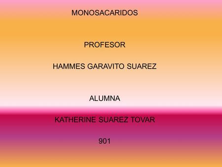 HAMMES GARAVITO SUAREZ