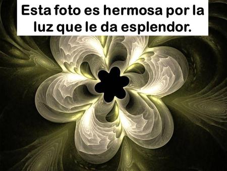 Esta foto es hermosa por la luz que le da esplendor.