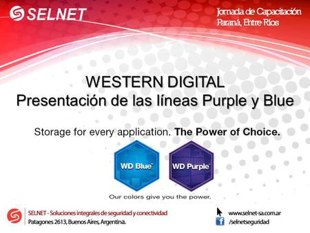 WESTERN DIGITAL Presentación de las líneas Purple y Blue.