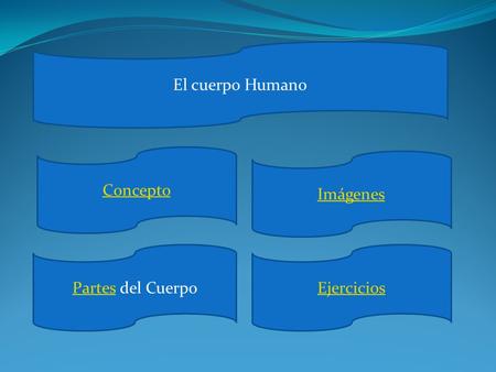 El cuerpo Humano Concepto Imágenes Partes del Cuerpo Ejercicios.