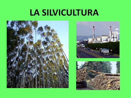 LA SILVICULTURA. Son los procesos mediante los que se crean los bienes y servicios, a partir de unos factores de producción. Alrededor de ellas gira la.