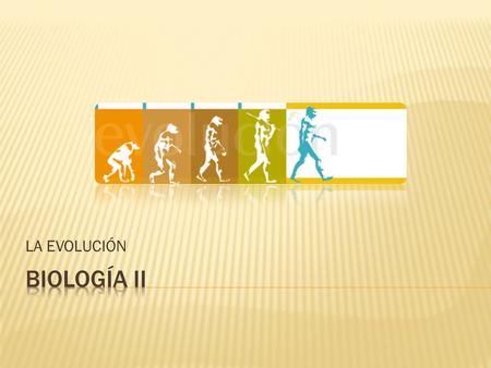 LA EVOLUCIÓN BIOLOGÍA II.