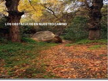 LOS OBSTÁCULOS EN NUESTRO CAMINO