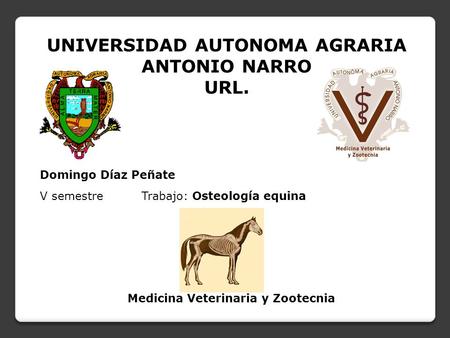UNIVERSIDAD AUTONOMA AGRARIA