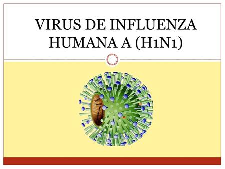 VIRUS DE INFLUENZA HUMANA A (H1N1)