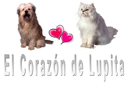 El Corazón de Lupita.