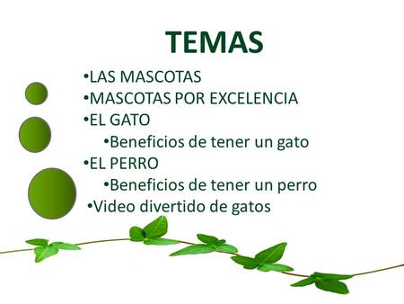 TEMAS LAS MASCOTAS MASCOTAS POR EXCELENCIA EL GATO