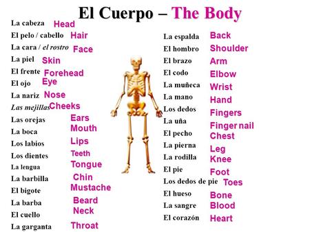 El Cuerpo – The Body Head Hair Back Face Shoulder Skin Arm Forehead