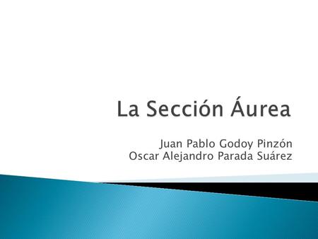 Juan Pablo Godoy Pinzón Oscar Alejandro Parada Suárez