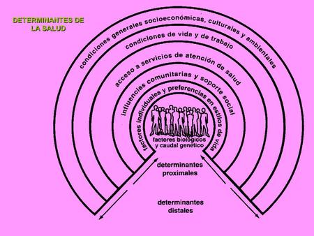 DETERMINANTES DE LA SALUD