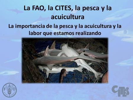 La FAO, la CITES, la pesca y la acuicultura