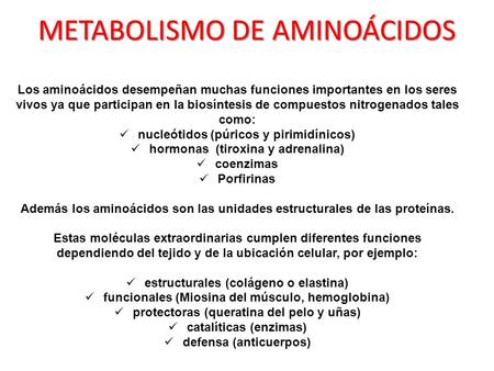METABOLISMO DE AMINOÁCIDOS