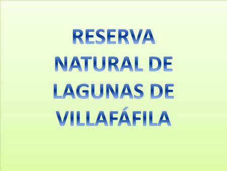 RESERVA NATURAL DE LAGUNAS DE VILLAFÁFILA