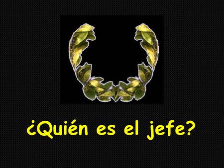¿Quién es el jefe?.