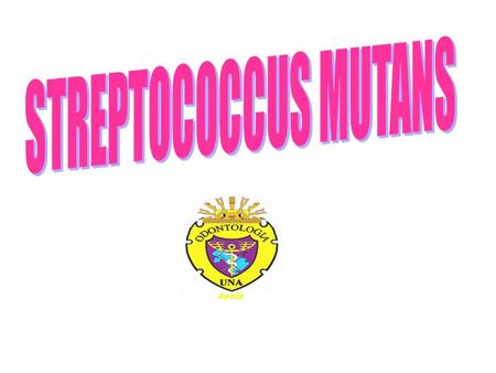STREPTOCOCCUS MUTANS.