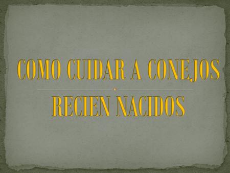 Si la mamá coneja no le hace caso a sus crias, no te preocupes, eso no significa que sea mala madre, solo que los conejitos no lo necesitan. La coneja.