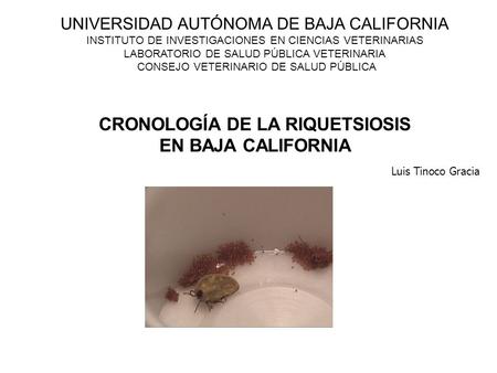 UNIVERSIDAD AUTÓNOMA DE BAJA CALIFORNIA INSTITUTO DE INVESTIGACIONES EN CIENCIAS VETERINARIAS LABORATORIO DE SALUD PÚBLICA VETERINARIA CONSEJO VETERINARIO.