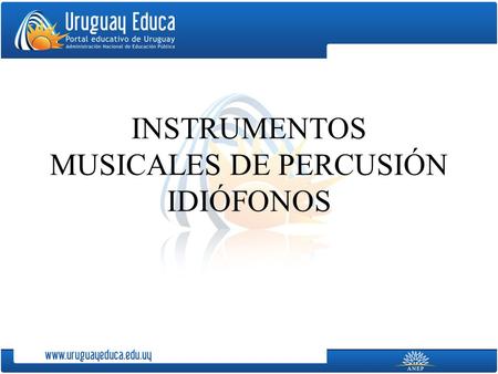 INSTRUMENTOS MUSICALES DE PERCUSIÓN IDIÓFONOS