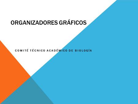 ORGANIZADORES GRÁFICOS