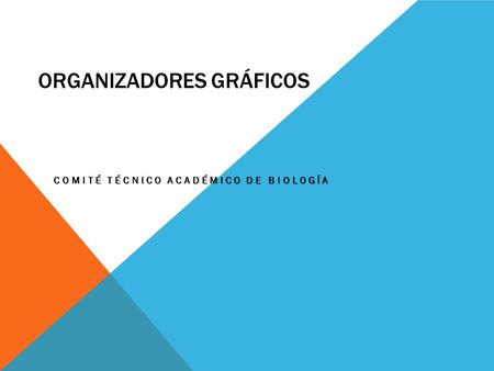 ORGANIZADORES GRÁFICOS