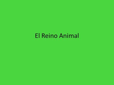 El Reino Animal.