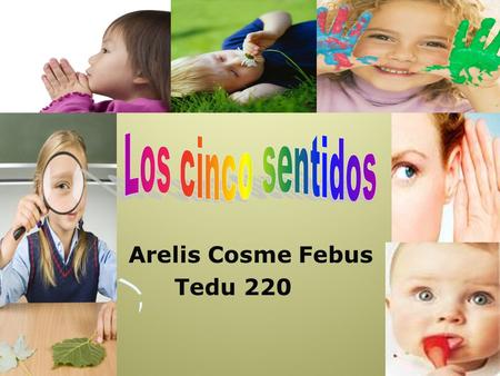 Los cinco sentidos Arelis Cosme Febus Tedu 220.