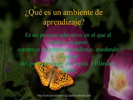 Es un proceso educativo en el que el alumno es quien construye su propio aprendizaje, quedando el papel del profesor como el de guía. ( Blández, 2000)