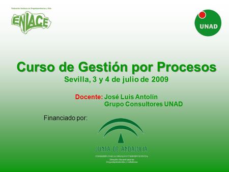 Curso de Gestión por Procesos Sevilla, 3 y 4 de julio de 2009 Docente: José Luis Antolín Grupo Consultores UNAD Financiado.