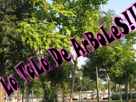 Investigaciones recientes han demostrado que la deforestación, puede afectar mucho a la cantidad de lluvia caída en un lugar y a otros fenómenos climáticos,
