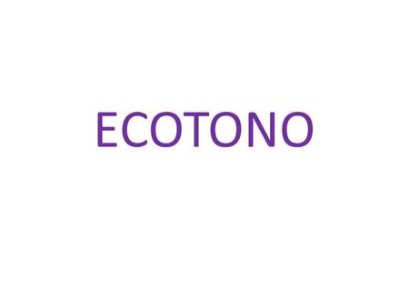 ECOTONO.