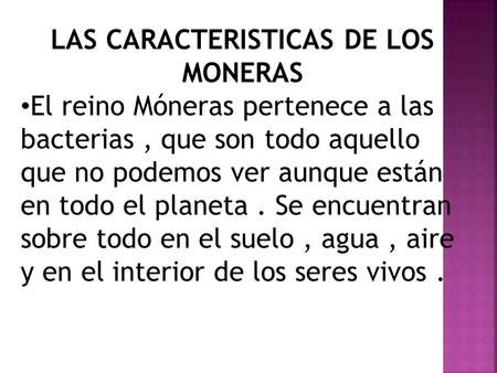 LAS CARACTERISTICAS DE LOS MONERAS