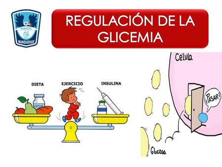 REGULACIÓN DE LA GLICEMIA