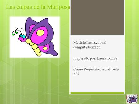 Las etapas de la Mariposa