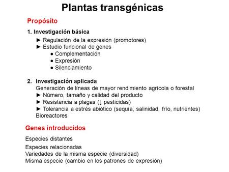Plantas transgénicas Propósito 1. Investigación básica ► Regulación de la expresión (promotores) ► Estudio funcional de genes ● Complementación ● Expresión.