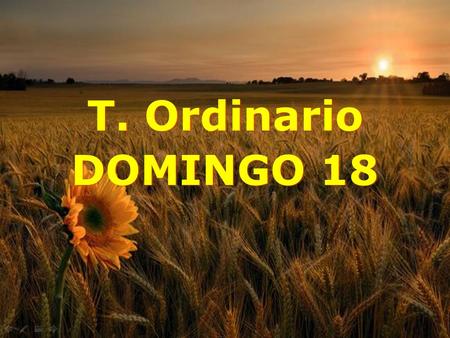 T. Ordinario DOMINGO 18.
