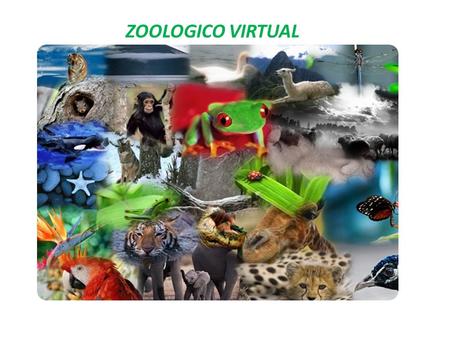 ZOOLOGICO VIRTUAL ZOOLOGICO.