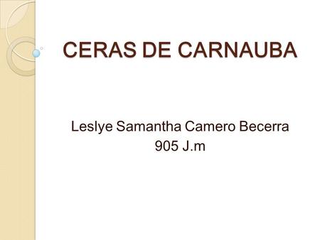 Leslye Samantha Camero Becerra 905 J.m
