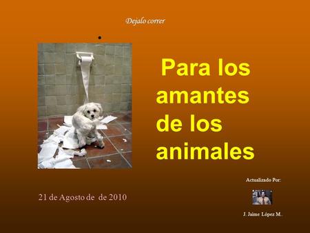 Dejalo correr 21 de Agosto de de 2010 Actualizado Por: J. Jaime López M.. Para los amantes de los animales.