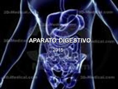 APARATO DIGESTIVO 2015.