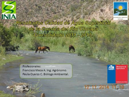 Profesionales: Francisco Meza A. Ing. Agrónomo. Paula Oyarzo C. Biólogo Ambiental.