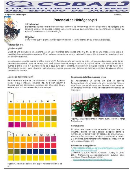 Integrantes del equipo: Grupo: Potencial de Hidrógeno pH Referencias bibliográficas. 1.http://pedagogia.fcep.urv.es/educanet/recursos/teceducativ a/acibas/descargas/indph.pdfhttp://pedagogia.fcep.urv.es/educanet/recursos/teceducativ.