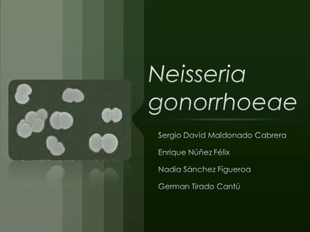 La gonorrea es una infección del epitelio cilíndrico y de transición debida a Neisseria gonorrhoeae. Afecta: Uretra Recto Conjuntiva Faringe.