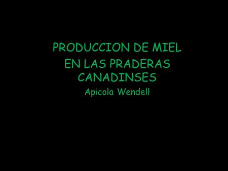 PRODUCCION DE MIEL EN LAS PRADERAS CANADINSES Apicola Wendell.