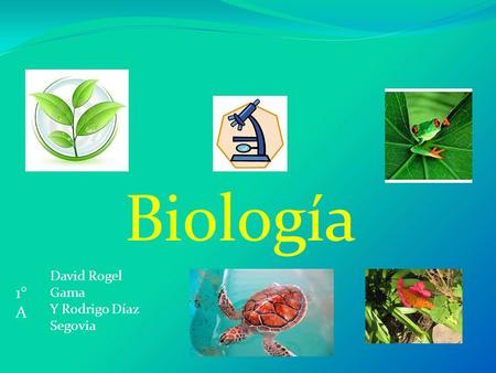 Biología David Rogel Gama Y Rodrigo Díaz Segovia 1°A.
