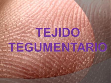 TEJIDO TEGUMENTARIO.