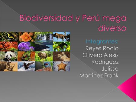 Biodiversidad y Perú mega diverso