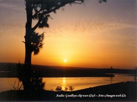 Audio: Goodbyes clip wav d/a/i – Arte s/imagen web d/a.