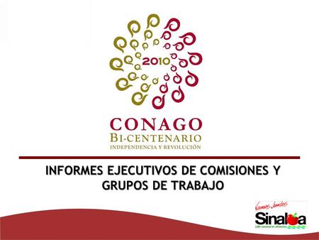 INFORMES EJECUTIVOS DE COMISIONES Y GRUPOS DE TRABAJO.