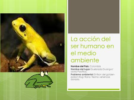 La acción del ser humano en el medio ambiente Nombre del Pais: Colombia Nombre del lugar: Quebrada Guangui/ costa Pacífica. Problema ambiental : Entison.
