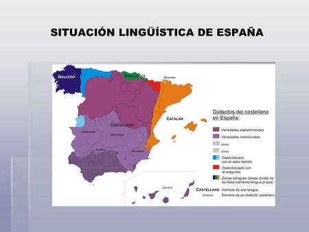 SITUACIÓN LINGÜÍSTICA DE ESPAÑA